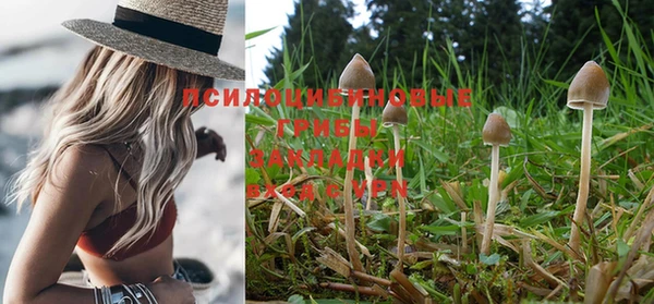 эйфоретик Абинск