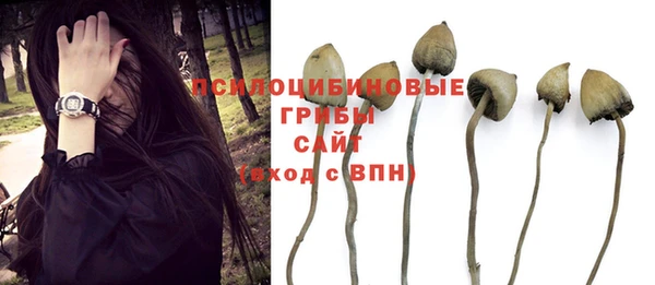 ГАЛЛЮЦИНОГЕННЫЕ ГРИБЫ Алексин