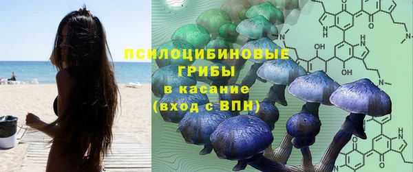 ГАЛЛЮЦИНОГЕННЫЕ ГРИБЫ Алексин