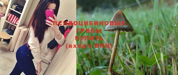 эйфоретик Абинск