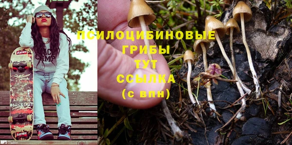 ГАЛЛЮЦИНОГЕННЫЕ ГРИБЫ Алексин