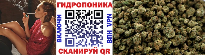 Бошки Шишки SATIVA & INDICA  mega ТОР  Ладушкин 